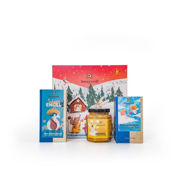 Christkindl Geschenkkarton Ersatz für 06201 22,5x21,5x9 cm bio