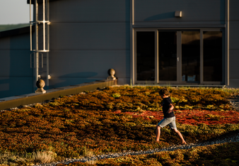 Na obrázku je chlapec, který běží bosky po střeše budovy SONNENTOR porostlé netřesky a dalšími pestrobarevnými rostlinami. | © SONNENTOR